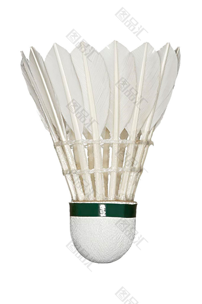 卫及双能卫 卫及双能卫