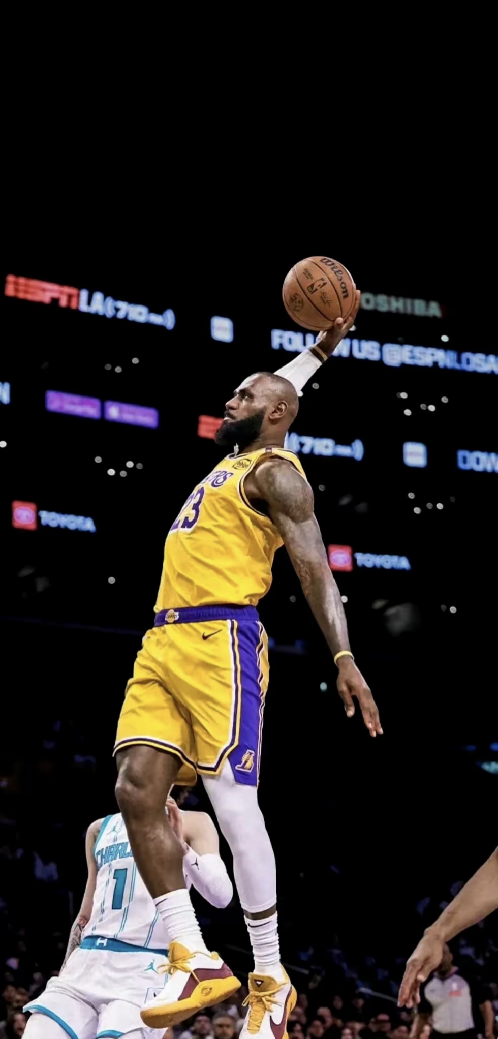 信息与信用 信息与信用